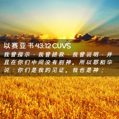 Picture 02 - 以 赛 亚 书 43:12 CUVS - 我 曾 指 示 ， 我 曾 拯 救 ， 我 曾 - Bible Verse Picture