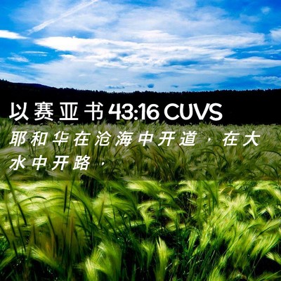 Picture 02 - 以 赛 亚 书 43:16 CUVS - 耶 和 华 在 沧 海 中 开 道 ， 在 大 - Bible Verse Picture