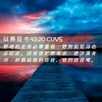 Picture 02 - 以 赛 亚 书 43:20 CUVS - 野 地 的 走 兽 必 尊 重 我 ； 野 狗 - Bible Verse Picture