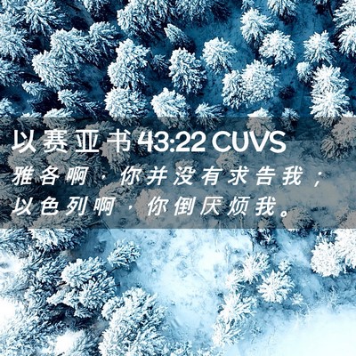 Picture 02 - 以 赛 亚 书 43:22 CUVS - 雅 各 啊 ， 你 并 没 有 求 告 我 ； - Bible Verse Picture