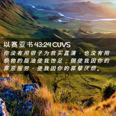 Picture 02 - 以 赛 亚 书 43:24 CUVS - 你 没 有 用 银 子 为 我 买 菖 蒲 ， - Bible Verse Picture
