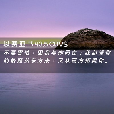Picture 02 - 以 赛 亚 书 43:5 CUVS - 不 要 害 怕 ， 因 我 与 你 同 在 ； - Bible Verse Picture