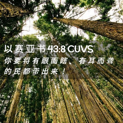 Picture 02 - 以 赛 亚 书 43:8 CUVS - 你 要 将 有 眼 而 瞎 、 有 耳 而 聋 - Bible Verse Picture