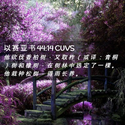 Picture 02 - 以 赛 亚 书 44:14 CUVS - 他 砍 伐 香 柏 树 ， 又 取 柞 （ 或 - Bible Verse Picture