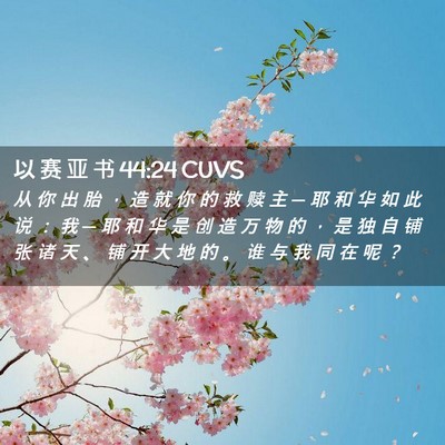 Picture 02 - 以 赛 亚 书 44:24 CUVS - 从 你 出 胎 ， 造 就 你 的 救 赎 主 - Bible Verse Picture