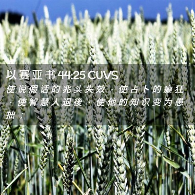Picture 02 - 以 赛 亚 书 44:25 CUVS - 使 说 假 话 的 兆 头 失 效 ， 使 占 - Bible Verse Picture
