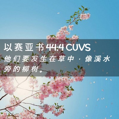 Picture 02 - 以 赛 亚 书 44:4 CUVS - 他 们 要 发 生 在 草 中 ， 像 溪 水 - Bible Verse Picture