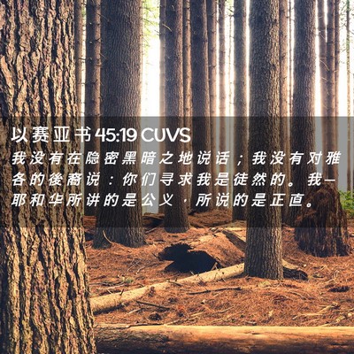 Picture 02 - 以 赛 亚 书 45:19 CUVS - 我 没 有 在 隐 密 黑 暗 之 地 说 话 - Bible Verse Picture