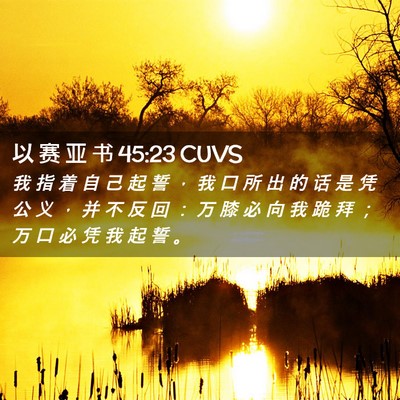 Picture 02 - 以 赛 亚 书 45:23 CUVS - 我 指 着 自 己 起 誓 ， 我 口 所 出 - Bible Verse Picture