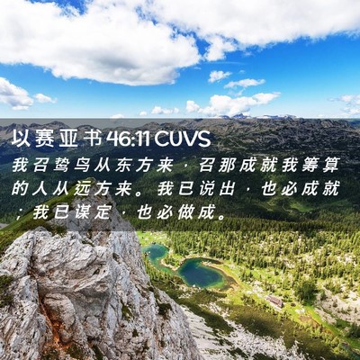 Picture 02 - 以 赛 亚 书 46:11 CUVS - 我 召 鸷 鸟 从 东 方 来 ， 召 那 成 - Bible Verse Picture