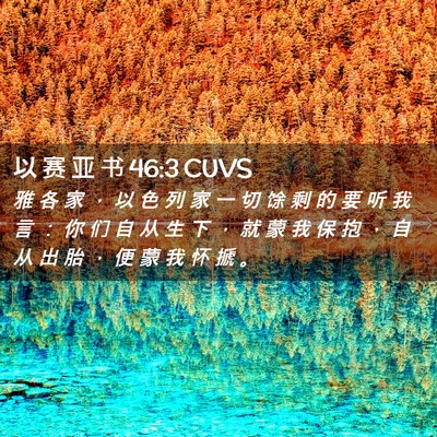 Picture 02 - 以 赛 亚 书 46:3 CUVS - 雅 各 家 ， 以 色 列 家 一 切 馀 剩 - Bible Verse Picture