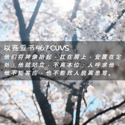 Picture 02 - 以 赛 亚 书 46:7 CUVS - 他 们 将 神 像 抬 起 ， 扛 在 肩 上 - Bible Verse Picture