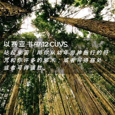 Picture 02 - 以 赛 亚 书 47:12 CUVS - 站 起 来 罢 ！ 用 你 从 幼 年 劳 神 - Bible Verse Picture