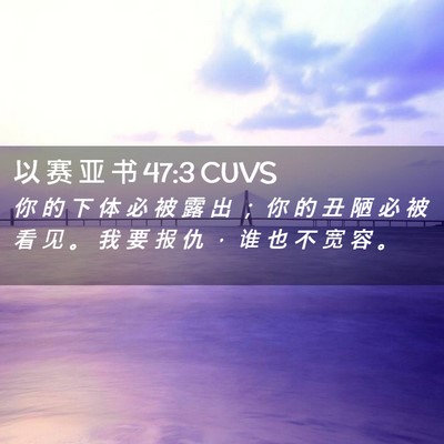 Picture 02 - 以 赛 亚 书 47:3 CUVS - 你 的 下 体 必 被 露 出 ； 你 的 丑 - Bible Verse Picture