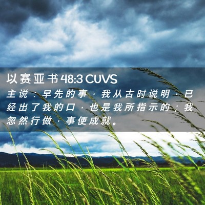 Picture 02 - 以 赛 亚 书 48:3 CUVS - 主 说 ： 早 先 的 事 ， 我 从 古 时 - Bible Verse Picture