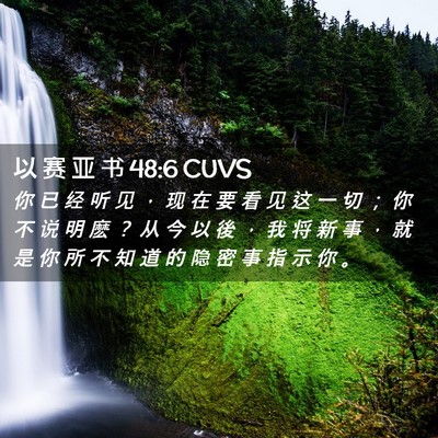 Picture 02 - 以 赛 亚 书 48:6 CUVS - 你 已 经 听 见 ， 现 在 要 看 见 这 - Bible Verse Picture