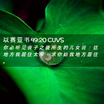 Picture 02 - 以 赛 亚 书 49:20 CUVS - 你 必 听 见 丧 子 之 後 所 生 的 儿 - Bible Verse Picture