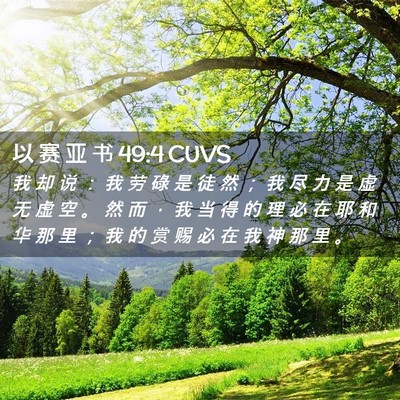 Picture 02 - 以 赛 亚 书 49:4 CUVS - 我 却 说 ： 我 劳 碌 是 徒 然 ； 我 - Bible Verse Picture