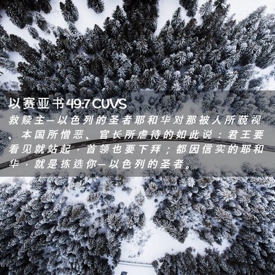 Picture 02 - 以 赛 亚 书 49:7 CUVS - 救 赎 主 ─ 以 色 列 的 圣 者 耶 和 - Bible Verse Picture