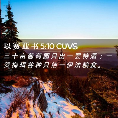 Picture 02 - 以 赛 亚 书 5:10 CUVS - 三 十 亩 葡 萄 园 只 出 一 罢 特 酒 - Bible Verse Picture