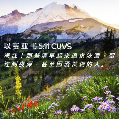 Picture 02 - 以 赛 亚 书 5:11 CUVS - 祸 哉 ！ 那 些 清 早 起 来 追 求 浓 - Bible Verse Picture