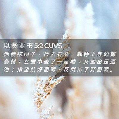 Picture 02 - 以 赛 亚 书 5:2 CUVS - 他 刨 挖 园 子 ， 捡 去 石 头 ， 栽 - Bible Verse Picture