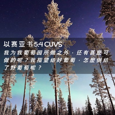Picture 02 - 以 赛 亚 书 5:4 CUVS - 我 为 我 葡 萄 园 所 做 之 外 ， 还 - Bible Verse Picture