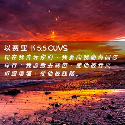 Picture 02 - 以 赛 亚 书 5:5 CUVS - 现 在 我 告 诉 你 们 ， 我 要 向 我 - Bible Verse Picture