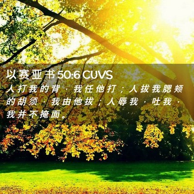 Picture 02 - 以 赛 亚 书 50:6 CUVS - 人 打 我 的 背 ， 我 任 他 打 ； 人 - Bible Verse Picture