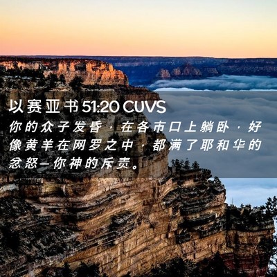 Picture 02 - 以 赛 亚 书 51:20 CUVS - 你 的 众 子 发 昏 ， 在 各 市 口 上 - Bible Verse Picture