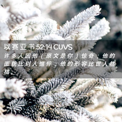 Picture 02 - 以 赛 亚 书 52:14 CUVS - 许 多 人 因 他 （ 原 文 是 你 ） 惊 - Bible Verse Picture