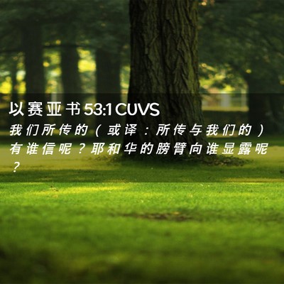 Picture 02 - 以 赛 亚 书 53:1 CUVS - 我 们 所 传 的 （ 或 译 ： 所 传 与 - Bible Verse Picture