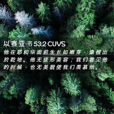 Picture 02 - 以 赛 亚 书 53:2 CUVS - 他 在 耶 和 华 面 前 生 长 如 嫩 芽 - Bible Verse Picture