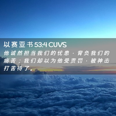 Picture 02 - 以 赛 亚 书 53:4 CUVS - 他 诚 然 担 当 我 们 的 忧 患 ， 背 - Bible Verse Picture