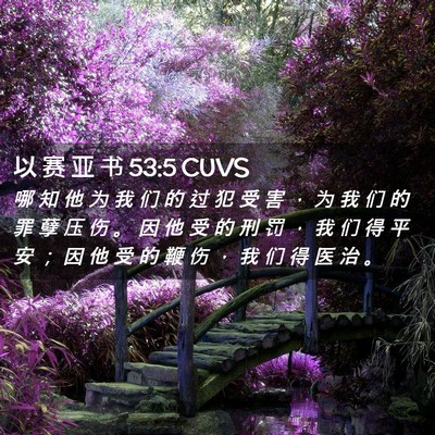 Picture 02 - 以 赛 亚 书 53:5 CUVS - 哪 知 他 为 我 们 的 过 犯 受 害 ， - Bible Verse Picture