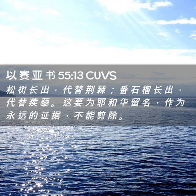 Picture 02 - 以 赛 亚 书 55:13 CUVS - 松 树 长 出 ， 代 替 荆 棘 ； 番 石 - Bible Verse Picture