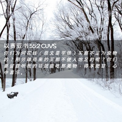 Picture 02 - 以 赛 亚 书 55:2 CUVS - 你 们 为 何 花 钱 （ 原 文 是 平 银 - Bible Verse Picture