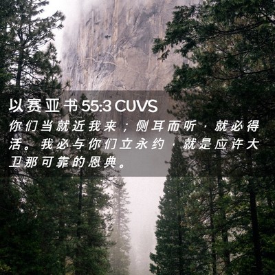 Picture 02 - 以 赛 亚 书 55:3 CUVS - 你 们 当 就 近 我 来 ； 侧 耳 而 听 - Bible Verse Picture