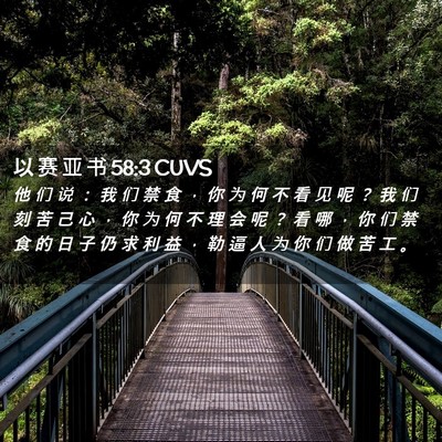 Picture 02 - 以 赛 亚 书 58:3 CUVS - 他 们 说 ： 我 们 禁 食 ， 你 为 何 - Bible Verse Picture