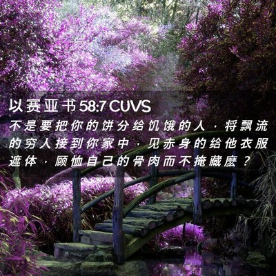 Picture 02 - 以 赛 亚 书 58:7 CUVS - 不 是 要 把 你 的 饼 分 给 饥 饿 的 - Bible Verse Picture