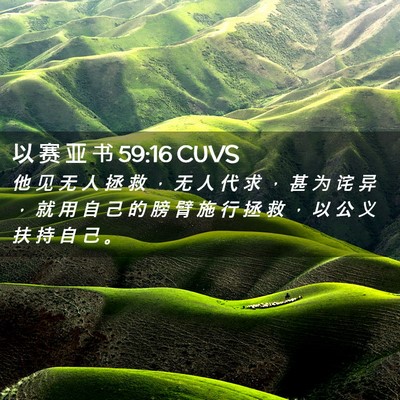 Picture 02 - 以 赛 亚 书 59:16 CUVS - 他 见 无 人 拯 救 ， 无 人 代 求 ， - Bible Verse Picture