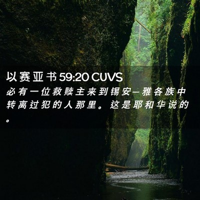 Picture 02 - 以 赛 亚 书 59:20 CUVS - 必 有 一 位 救 赎 主 来 到 锡 安 ─ - Bible Verse Picture