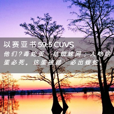 Picture 02 - 以 赛 亚 书 59:5 CUVS - 他 们 ? 毒 蛇 蛋 ， 结 蜘 蛛 网 ； 人 - Bible Verse Picture