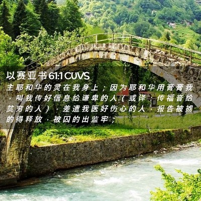 Picture 02 - 以 赛 亚 书 61:1 CUVS - 主 耶 和 华 的 灵 在 我 身 上 ； 因 - Bible Verse Picture