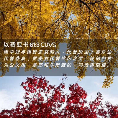 Picture 02 - 以 赛 亚 书 61:3 CUVS - 赐 华 冠 与 锡 安 悲 哀 的 人 ， 代 - Bible Verse Picture