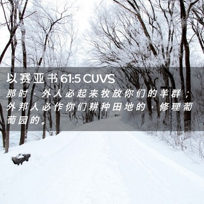 Picture 02 - 以 赛 亚 书 61:5 CUVS - 那 时 ， 外 人 必 起 来 牧 放 你 们 - Bible Verse Picture