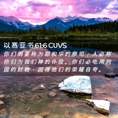 Picture 02 - 以 赛 亚 书 61:6 CUVS - 你 们 倒 要 称 为 耶 和 华 的 祭 司 - Bible Verse Picture