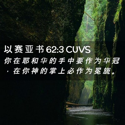 Picture 02 - 以 赛 亚 书 62:3 CUVS - 你 在 耶 和 华 的 手 中 要 作 为 华 - Bible Verse Picture