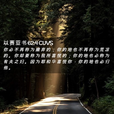 Picture 02 - 以 赛 亚 书 62:4 CUVS - 你 必 不 再 称 为 撇 弃 的 ； 你 的 - Bible Verse Picture