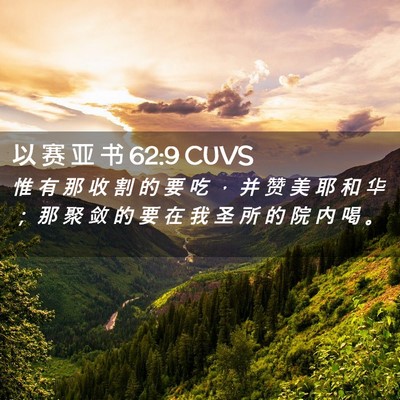 Picture 02 - 以 赛 亚 书 62:9 CUVS - 惟 有 那 收 割 的 要 吃 ， 并 赞 美 - Bible Verse Picture